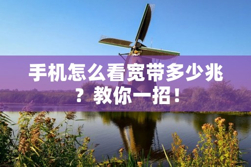 手机怎么看宽带多少兆？教你一招！
