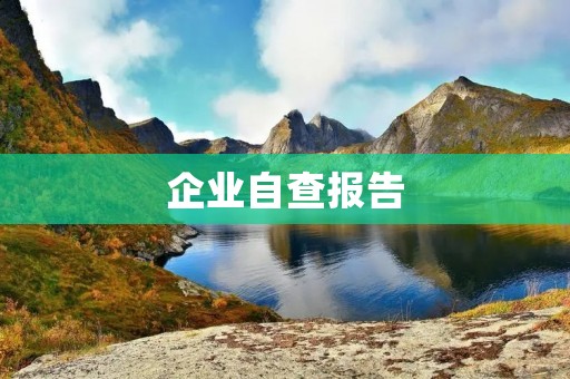 企业自查报告:保障企业健康发展的重要措施