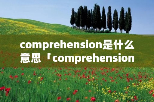 comprehension是什么意思「comprehension是什么意思英语翻译」
