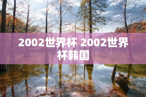 2002世界杯 2002世界杯韩国
