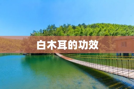 白木耳的功效:清肺养胃,滋阴润燥,降血脂降血糖 白木耳的功效:清肺养胃,滋阴润燥,降血脂降血糖