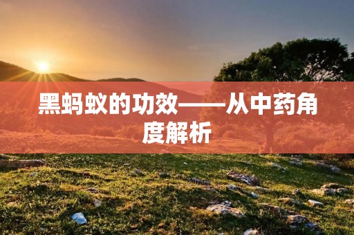 黑蚂蚁的功效——从中药角度解析 黑蚂蚁的功效——从中药角度解析