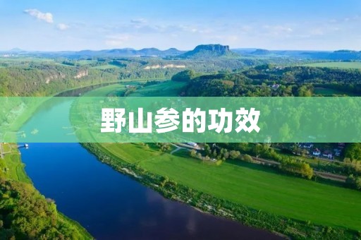 野山参的功效:提高免疫力,缓解疲劳,促进肝脏健康 野山参的功效:提高免疫力,缓解疲劳,促进肝脏健康