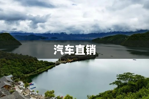 汽车直销：创新的销售模式