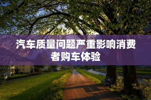 汽车质量问题严重影响消费者购车体验 汽车质量问题严重影响消费者购车体验