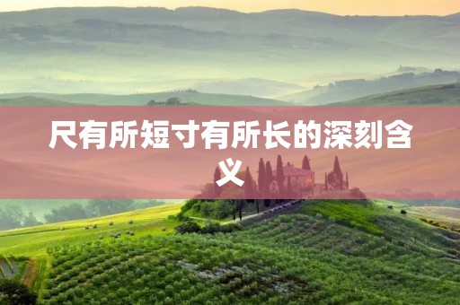 尺有所短寸有所长的深刻含义