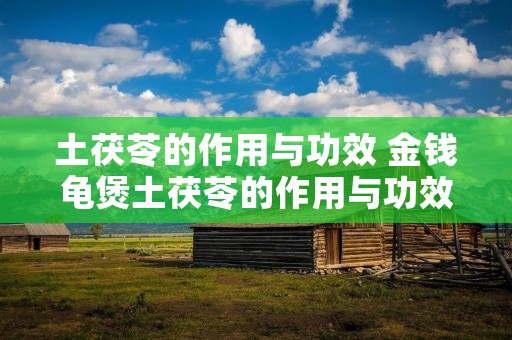 土茯苓的作用与功效 金钱龟煲土茯苓的作用与功效