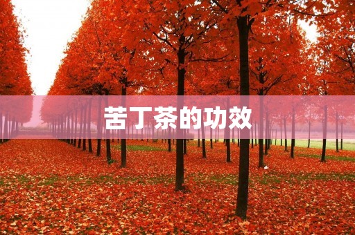 苦丁茶的功效:从清热解毒到减肥瘦身 苦丁茶的功效:从清热解毒到减肥瘦身