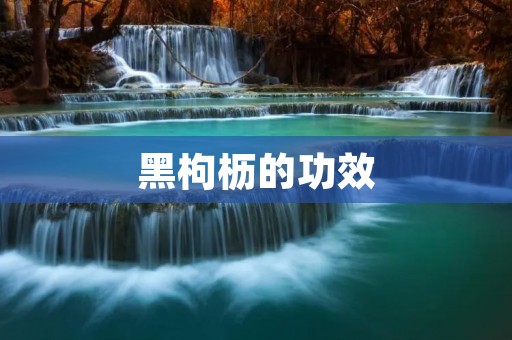 黑枸枥的功效:预防疾病,强身健体 黑枸枥的功效:预防疾病,强身健体