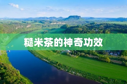 糙米茶的神奇功效:让你健康又美丽 糙米茶的神奇功效:让你健康又美丽