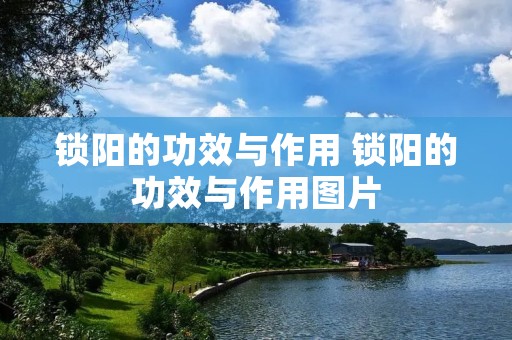 锁阳的功效与作用 锁阳的功效与作用图片 锁阳的功效与作用 锁阳的功效与作用图片