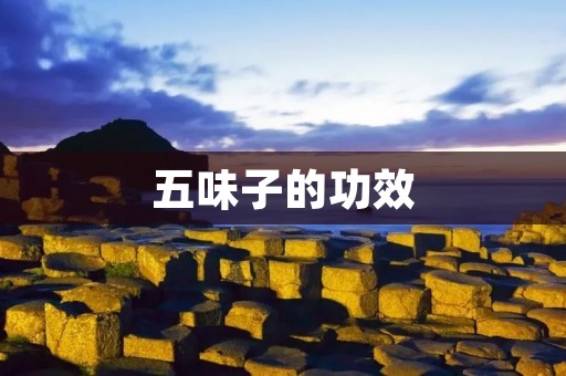 五味子的功效：一种能治疗多种疾病的中药