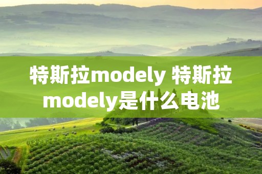 特斯拉modely 特斯拉modely是什么电池