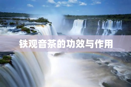 铁观音茶的功效与作用:保健养生好选择 铁观音茶的功效与作用:保健养生好选择