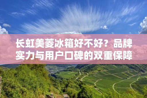 长虹美菱冰箱好不好？品牌实力与用户口碑的双重保障