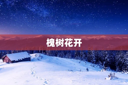 槐树花开:夏日的清香与美丽 槐树花开:夏日的清香与美丽