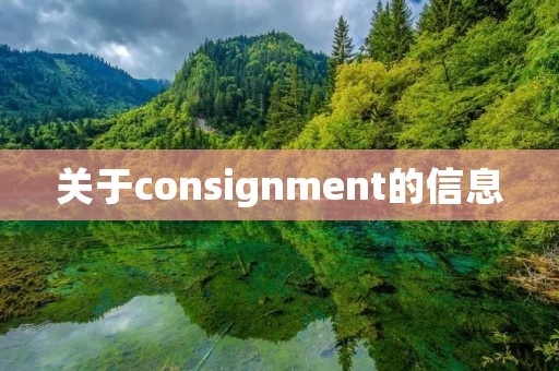 关于consignment的信息