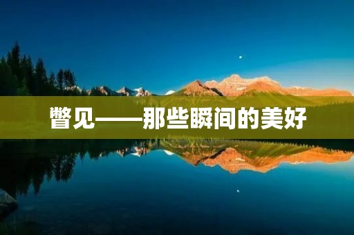 瞥见——那些瞬间的美好