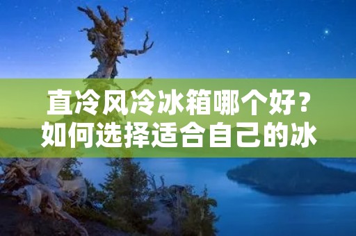 直冷风冷冰箱哪个好？如何选择适合自己的冰箱？