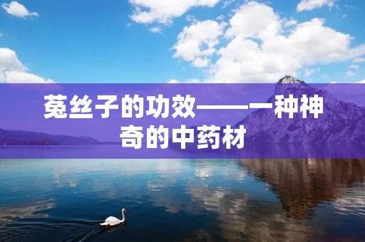 菟丝子的功效——一种神奇的中药材 菟丝子的功效——一种神奇的中药材