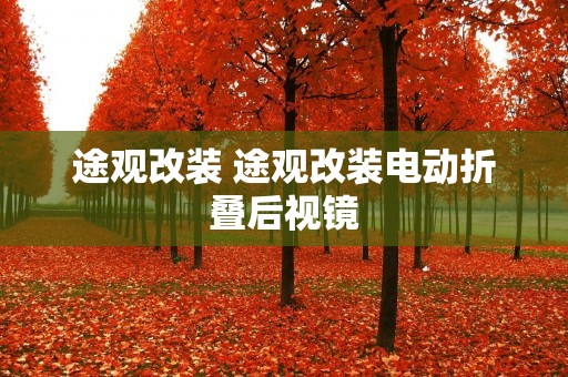途观改装 途观改装电动折叠后视镜