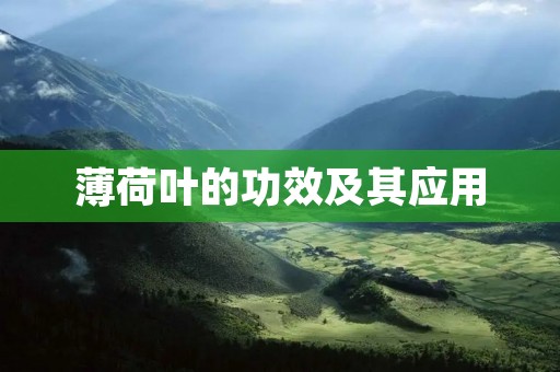薄荷叶的功效及其应用 薄荷叶的功效及其应用