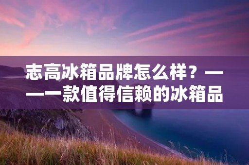 志高冰箱品牌怎么样？——一款值得信赖的冰箱品牌