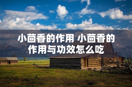小茴香的作用 小茴香的作用与功效怎么吃
