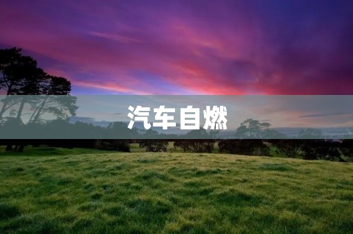 汽车自燃:原因、危害与预防 汽车自燃:原因、危害与预防