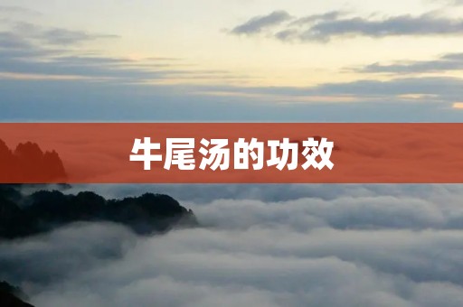 牛尾汤的功效:补肾养血,滋阴润燥 牛尾汤的功效:补肾养血,滋阴润燥