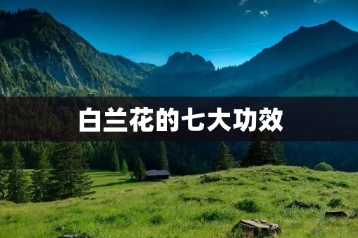 白兰花的七大功效 白兰花的七大功效