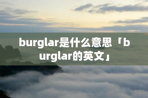 burglar是什么意思「burglar的英文」