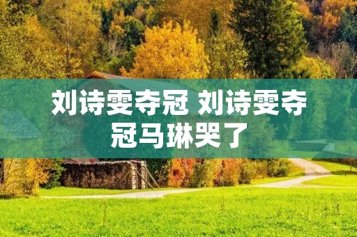 刘诗雯夺冠 刘诗雯夺冠马琳哭了 刘诗雯夺冠 刘诗雯夺冠马琳哭了