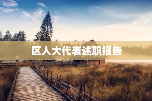 区人大代表述职报告：为推动区域经济发展贡献力量