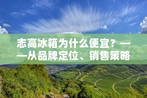 志高冰箱为什么便宜?——从品牌定位、销售策略、产品质量等方面剖析 志高冰箱为什么便宜?——从品牌定位、销售策略、产品质量等方面剖析