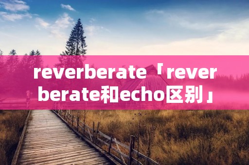 reverberate「reverberate和echo区别」