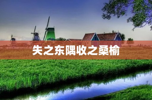 失之东隅收之桑榆：如何在失败中找到机会