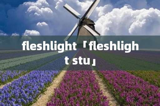 fleshlight「fleshlight stu」 fleshlight「fleshlight stu」