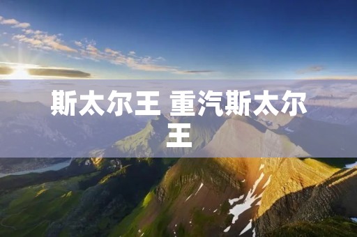 斯太尔王 重汽斯太尔王