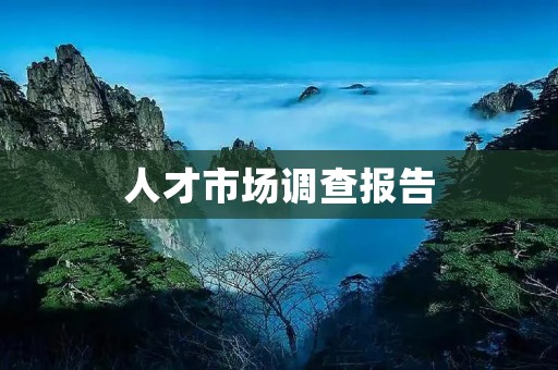 人才市场调查报告：揭示中国人才市场的现状和趋势