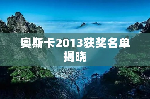 奥斯卡2013获奖名单揭晓：《生命中的美好缺憾》夺得最佳影片