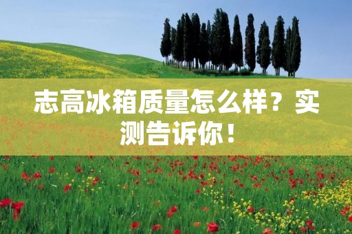 志高冰箱质量怎么样？实测告诉你！