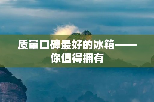 质量口碑最好的冰箱——你值得拥有