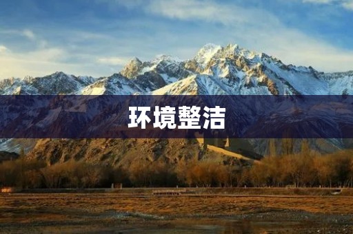 环境整洁：让城市更美好