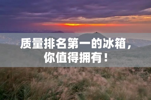 质量排名第一的冰箱,你值得拥有! 质量排名第一的冰箱,你值得拥有!