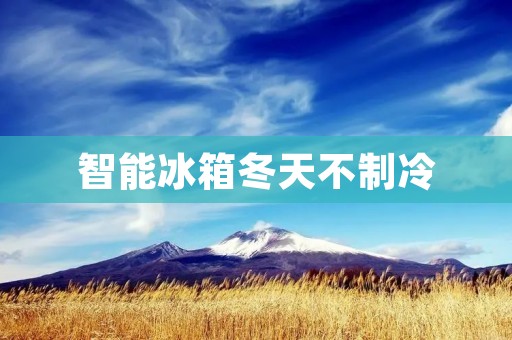 智能冰箱冬天不制冷：原因及解决方法