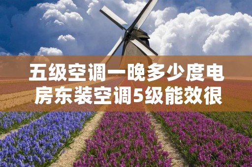 五级空调一晚多少度电 房东装空调5级能效很费电吗