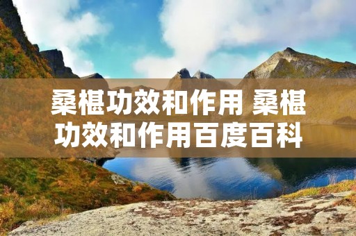 桑椹功效和作用 桑椹功效和作用百度百科