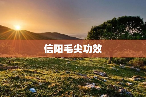 信阳毛尖功效:让身体倍增健康 信阳毛尖功效:让身体倍增健康