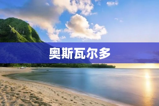 奥斯瓦尔多：来自墨西哥的艺术家
